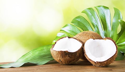 World Coconut Day : जाणून घेऊया नारळाबद्दल मजेशीर गोष्टी…