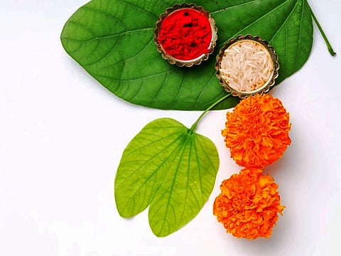 Dussehra 2021 : जाणून घ्या दसऱ्या दिवशी का वाटली जातात आपट्याची पानं