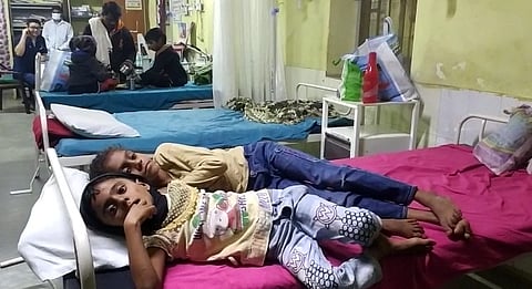 भंडाऱ्यात 19 बालकांना विषबाधा; चंद्र ज्योतीच्या झाडाच्या बिया खाल्ल्या