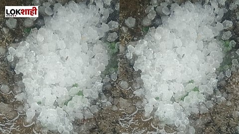 गोंदिया जिल्ह्यात गारपिटीचा पाऊस, रब्बी पिकांना बसणार फटका