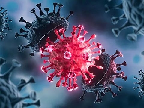 CoronaVirus News: मुंबईत गेल्या २४ तासांत 356 नव्या कोरोनाबाधितांची नोंद