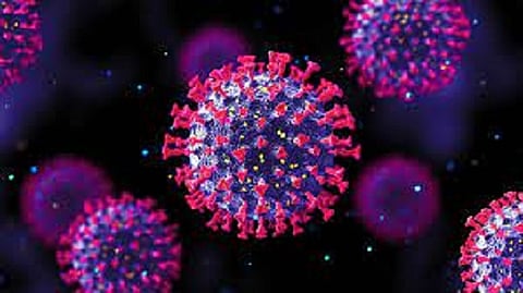 बुलडाण्यात ओमायक्रॉनचा शिरकाव, दुबईवरून आलेला ‘तो’ रूग्ण पॉझिटीव्ह