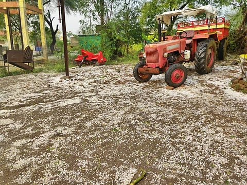 अवकाळी पावसानं विदर्भ, मराठवाड्याला झोडपलं; गारपिटीमुळं शेतीवर नवं संकट