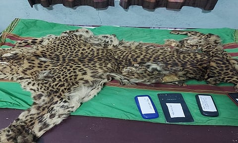 वनविभागाची मोठी कारवाई, बिबट्याच्या चामड्याची तस्करी करताना चौघांना अटक