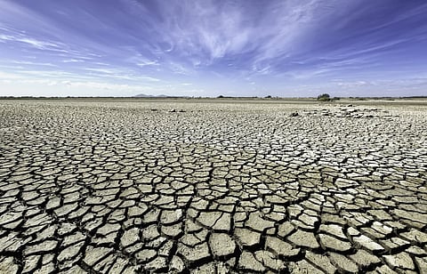 Farmers in Bhandara district are again facing the crisis of unseasonal rains, breaking news