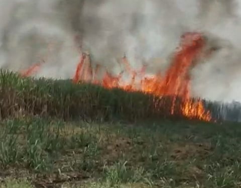 Fire caught in sugarcane Farm at Latur