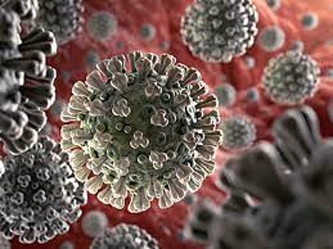 कोरोना संसर्ग वाढू नये यासाठी मुंबई महापालिकेच्या विशेष सूचना