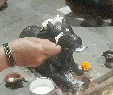 Rumour of Nandi statue drinking Milk