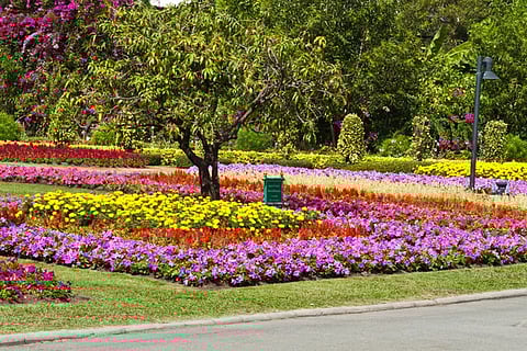 Lucknow To Soon Get A Gomti Bio-Diversity Park Just Like Delhi!