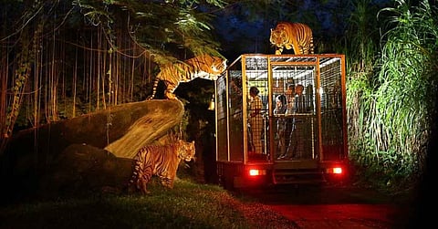 First Night Safari In Lucknow To Begin By 2026