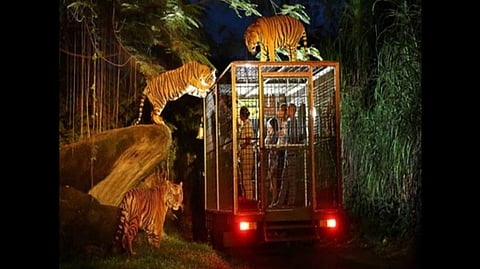 Kukrail Night Safari: Construction Updates And Other Info Here!