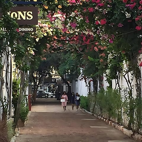 Le Press Spring Soiree Is Back With Its 2nd Edition