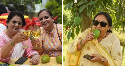 Maeve Mango Festival 2025 Lucknow