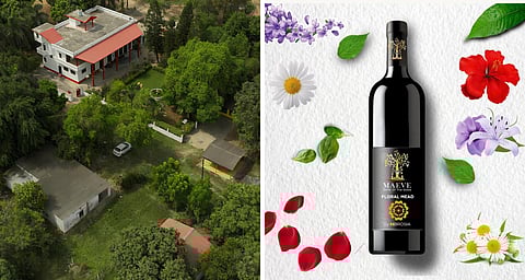 Uttar Pradesh First Ever Winery 'Mbrosia' got Inaugurated today at the Malihabad Area in Lucknow