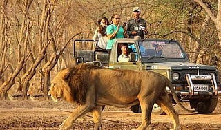 Best Wildlife Sanctuaries Near Lucknow For A Wild Getaway!