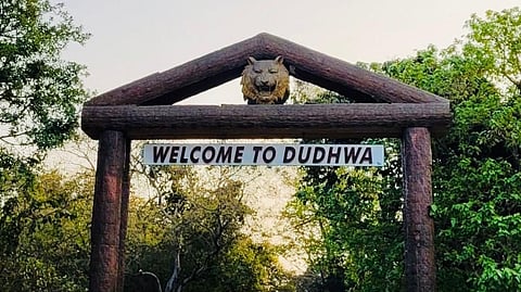 UP To Host First-Ever Dudhwa Mahotsav At Dudhwa National Park