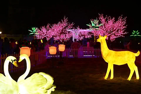 City’s First-Ever “Glow Garden” Is Coming To Jogger’s Park