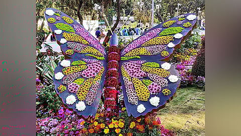Raj Bhawan Flower Exhibition- Flower show in Lucknow