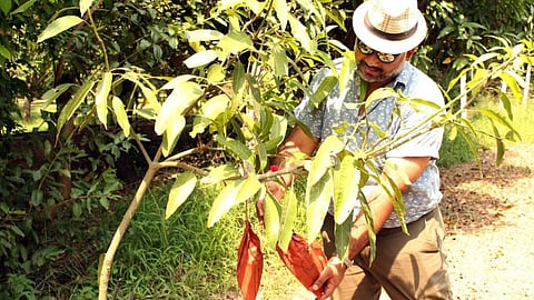First Mango Winery in Lucknow