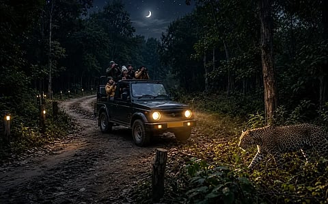First Night Safari in India