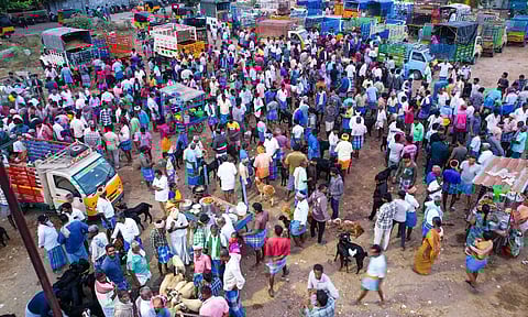 Ramzan| தேர்தல் நடத்தை விதிமுறையால் செஞ்சி வாரச்சந்தையில் ஆடுகள் விற்பனை மந்தம்