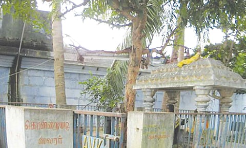 அளவில்லாத பலன்களை தரும் தல விருட்ச பிரதட்சணம்