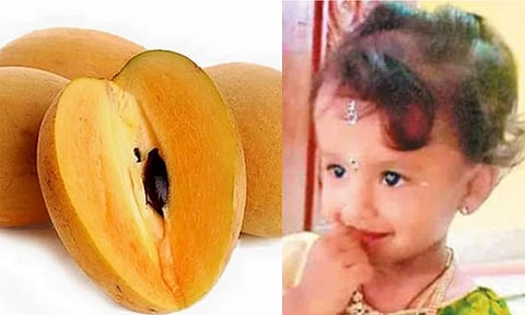 சப்போட்டா பழத்தில் விஷம் கலந்து கொடுத்து 2 வயது மகளை கொன்ற தந்தை
