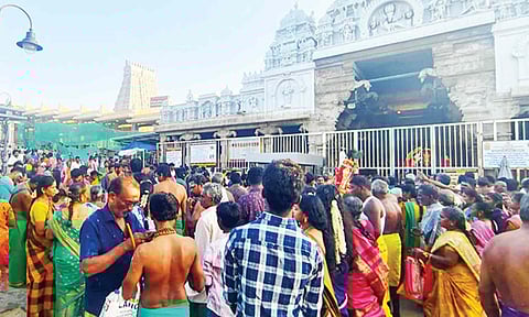 பங்குனி உத்திரம் - திருச்செந்தூர் கோவிலில் அலைமோதிய பக்தர்கள் கூட்டம்