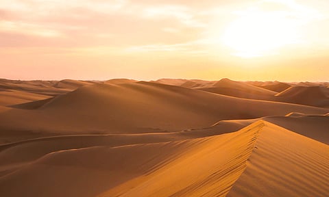 உலகில் முதல்முறையாக பாலைவன மணலில் இருந்து சாலை- கென்யாவில் அமைக்கப்படுகிறது