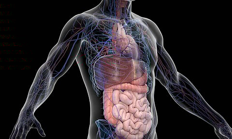 உடல் உறுப்புகள் பாதிப்பை உணர்த்தும் அறிகுறிகள்...