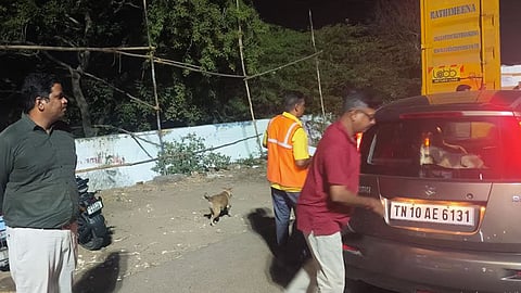 Puducherry Assembly Election| இறுதி கட்ட பண பட்டுவாடாவை தடுக்க 66 பறக்கும் படைகள் கண்காணிப்பு- தேர்தல் அதிகாரி தகவல்