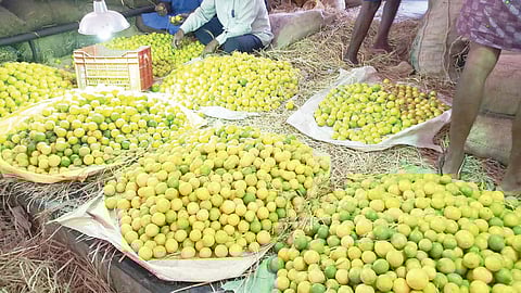 அதிகரிக்கும் வெயிலின் தாக்கம்: எலுமிச்சை கிலோ ரூ.200 ஆக அதிகரிப்பு