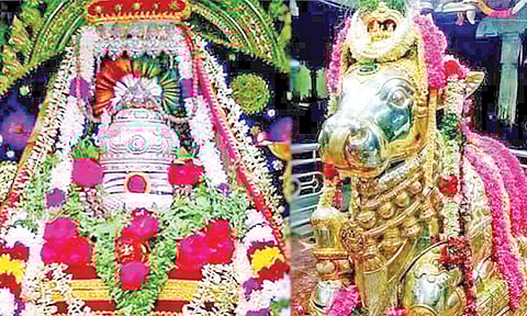 நாளை சிவனை வழிபட்டால் வாழ்வில் செல்வம் பெருகும்