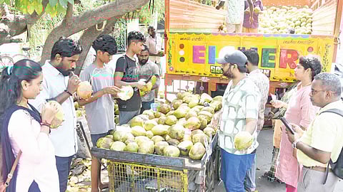 சென்னையில் இளநீர் விலை 80 ரூபாயாக உயர்வு