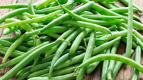 பீன்ஸ் விலை உயர்வு : கிலோ ரூ.120க்கு விற்பனை- மக்கள் அதிர்ச்சி