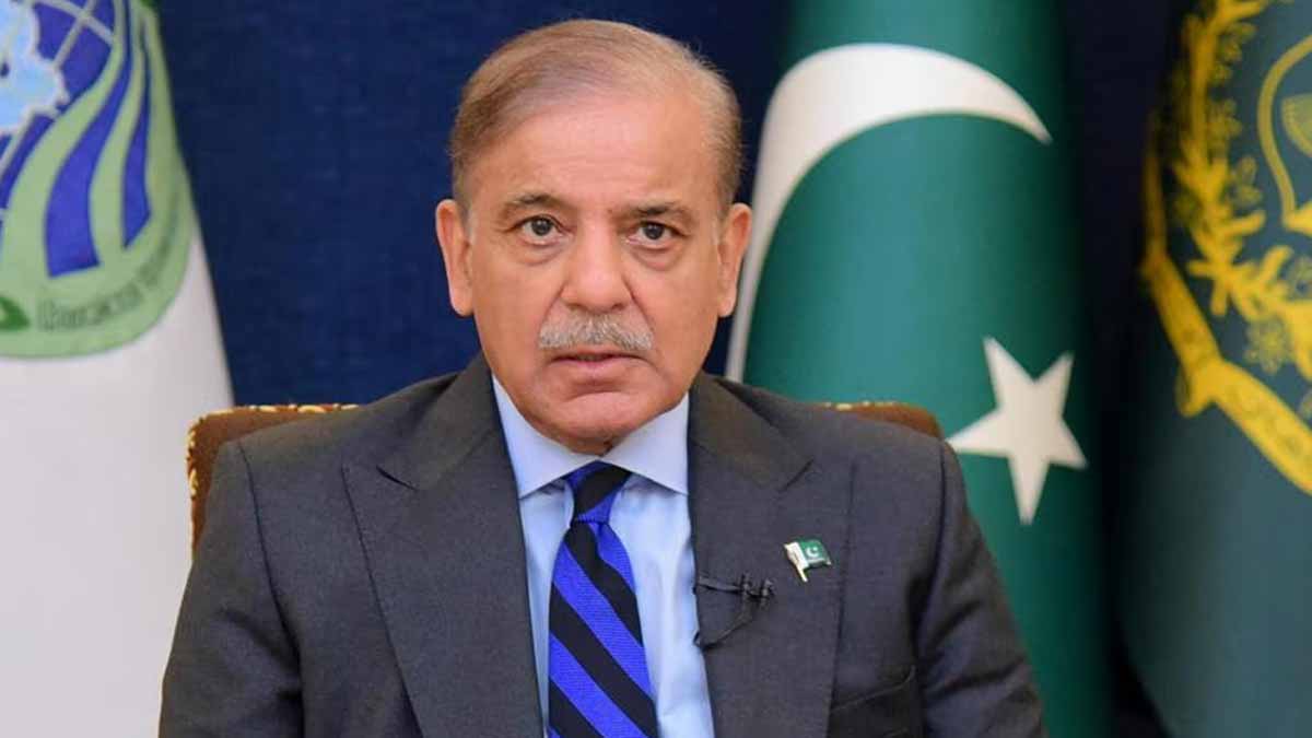 மெகா ஊழல் மற்றும் பணமோசடி வழக்கில் பாகிஸ்தான் பிரதமரின் மகளுக்கு முன் ஜாமீன்