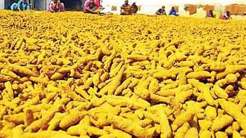 வெளிநாடுகளுக்கு 1.74 லட்சம் டன் மஞ்சள் ஏற்றுமதி- விவசாயிகள் மகிழ்ச்சி