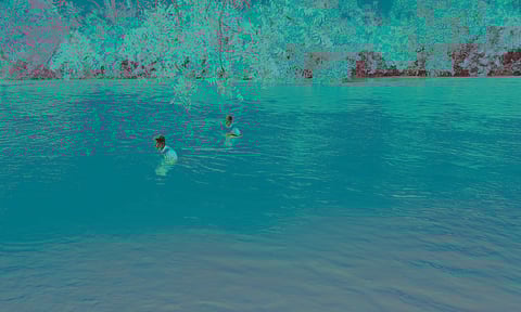 கீழ்பவானி வாய்க்காலில் தீயணைப்புத்துறையினர் விஜயலட்சுமியின் 2-வது மகள் தருணிகாவை தேடி வருகின்றனர்.