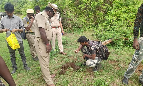 யானைகள் கணக்கெடுக்கும் பணி நடந்த காட்சி.