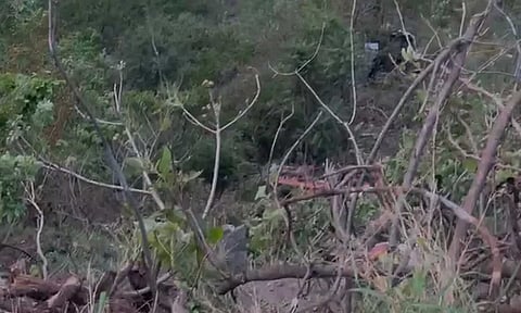 பேருந்து விழுந்த பகுதி
