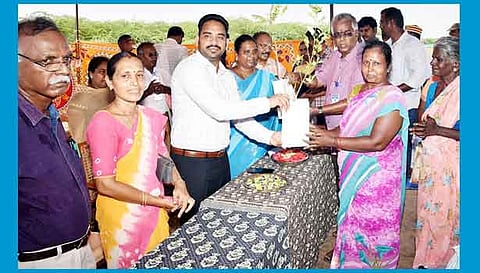 கீழ் செவல் கண்மாயை ஆழப்படுத்தும் பணியை கலெக்டர் மேகநாதரெட்டி தொடங்கி வைத்து பயனாளிகளுக்கு மரக்கன்றுகள் வழங்கினார்.