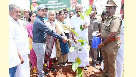 சமத்துவபுர வளாகத்தில் அமைச்சர் பெரியகருப்பன், ஊரக வளர்ச்சி துறை முதன்மை செயலாளர் அமுதா ஆகியோர் மரக்கன்று நட்டனர். அருகில் கலெக்டர் மதுசூதன் ரெட்டி உள்ளார்.