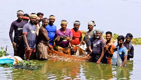 மீன் பிடிக்கும் பணி நடைபெற்ற காட்சி. 