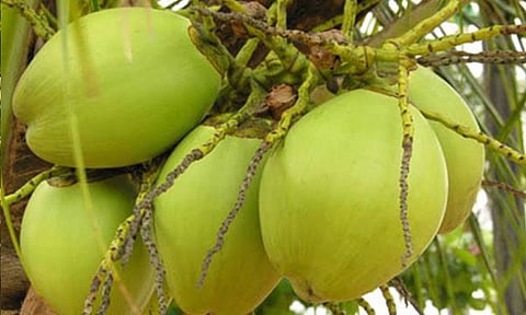 கோப்புபடம். 