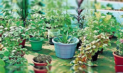  கோப்புபடம்