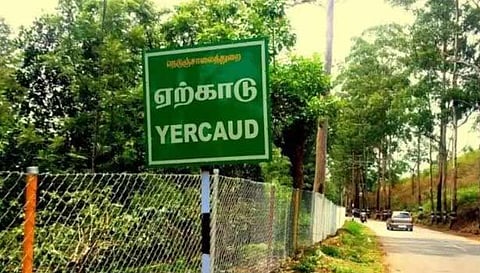 ஏற்காட்டில் ரூ.30 லட்சத்துக்கு 13 கடைகள் ஏலம்