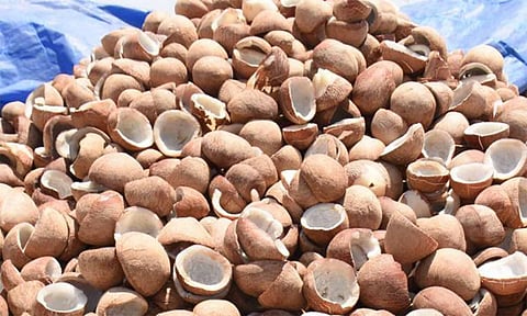 ஒழுங்கு முறை விற்பனைக்கூடங்களில்கொப்பரை கொள்முதல்