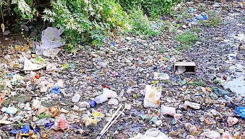 டவுன் பெரிய தெருவில் வாய்க்காலில் குப்பைகள் கொட்டப்பட்டிருப்பதை படத்தில் காணலாம்.