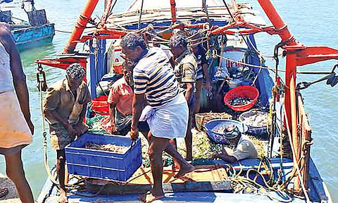 மீன்பிடி தடைக்காலம் நாளையுடன் முடிகிறது- தூத்துக்குடியில் 61 நாட்களுக்கு பின்னர் கடலுக்கு செல்ல தயாராகும் மீனவர்கள்