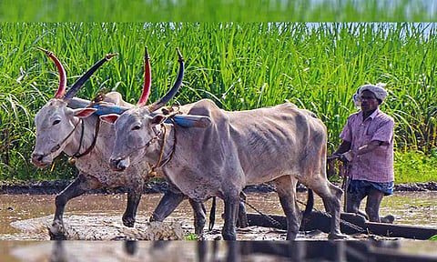 காேப்புபடம்